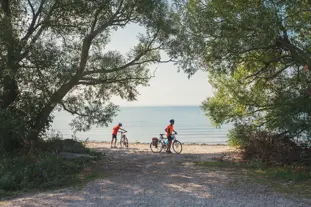 Two people riding by the beach