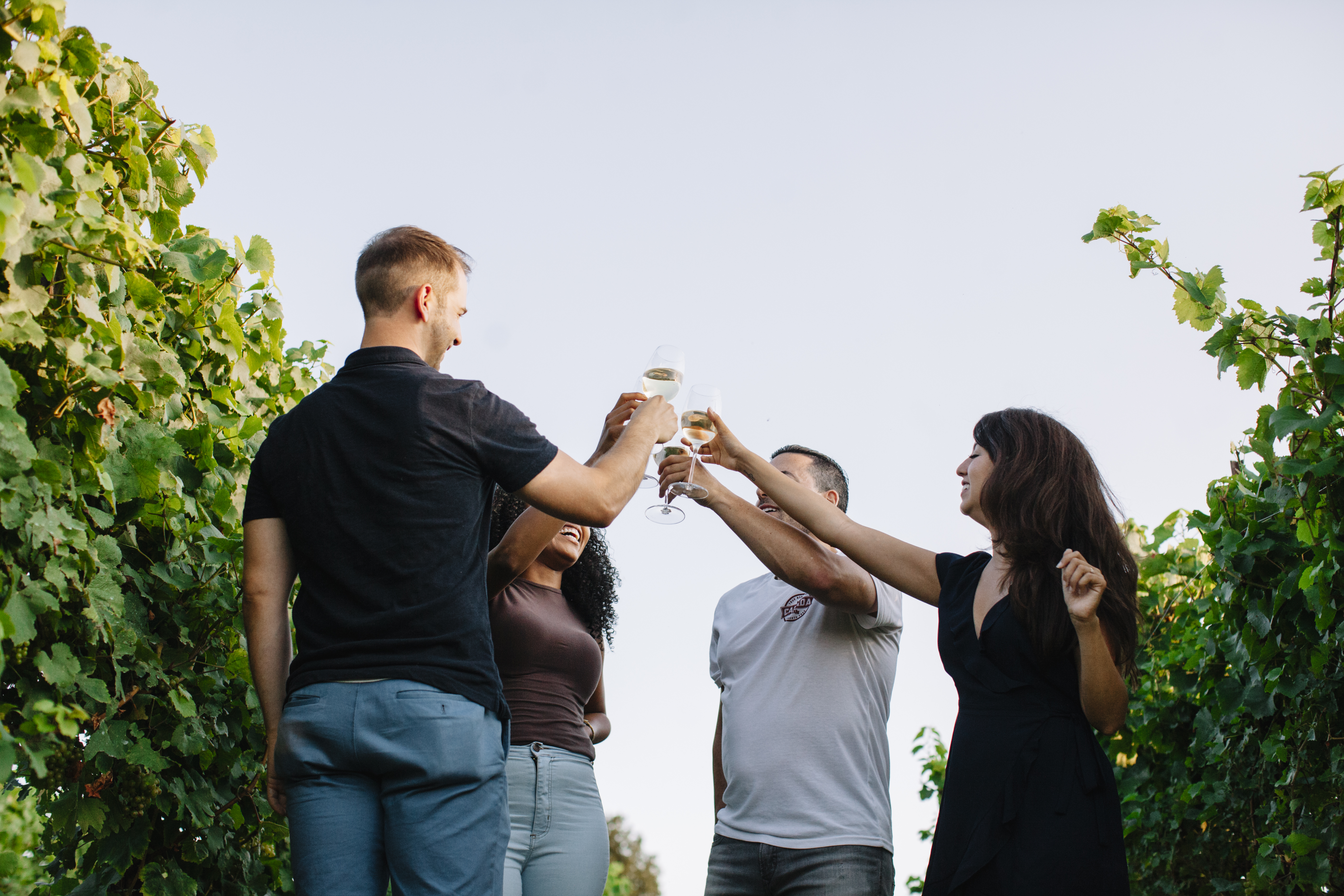 Group drinking wine in orchard