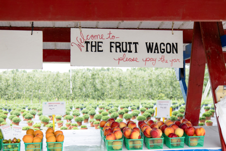 The Fruit Wagon