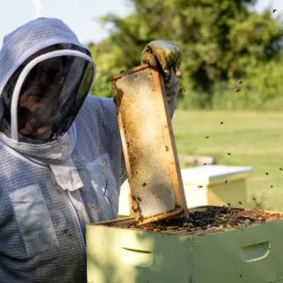 Hawksview Honey