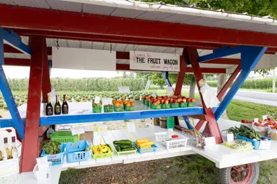 Farm stand