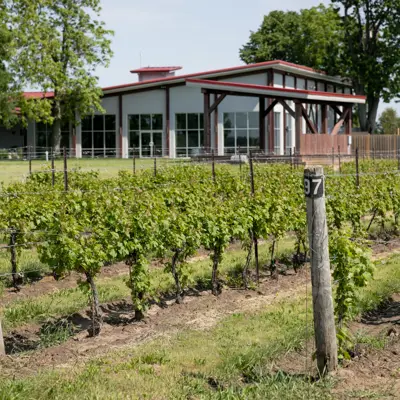 Exterior of Cooper's Hawk Vineyards